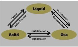 3d chart on sublimation - Brainly.in