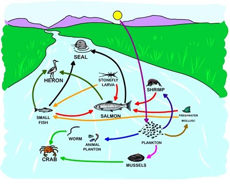 Hydrosphere - Ms. T-- 8th Grade Science