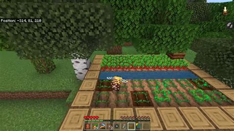 Image result for Minecraft Java Morph Mod 1.18