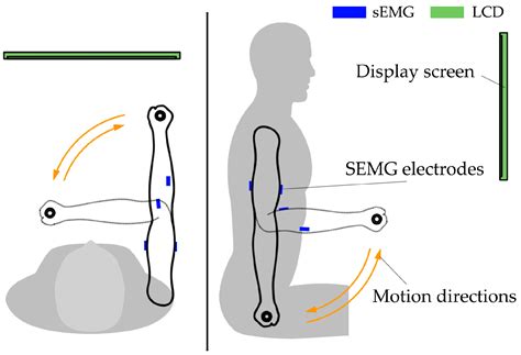 Effects of Proprioception and Visual Focus of Attention on Surface ...