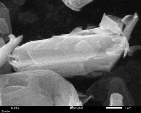 Graphite Paper Nature Journal 的图像结果