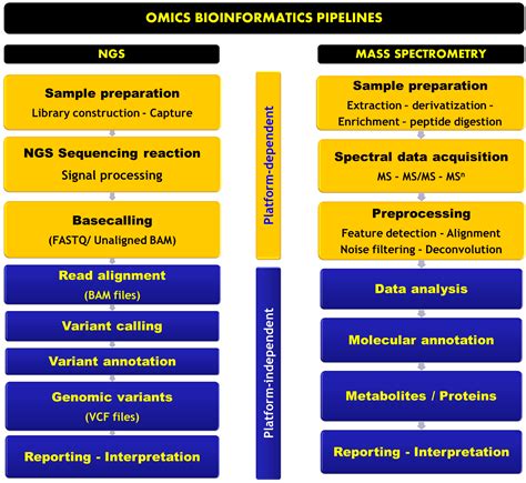 Omics-Based Strategies in Precision Medicine: Toward a Paradigm Shift ...