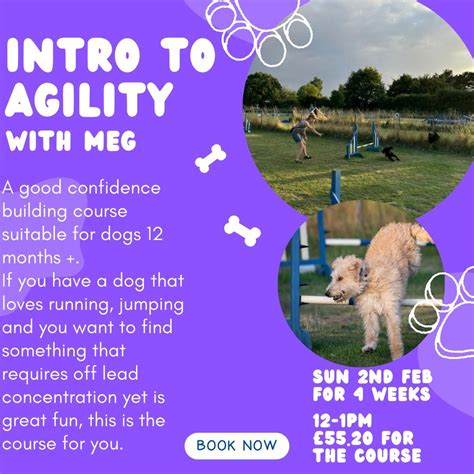 Introduction to Agility , School Farm, Halesworth Road, Ilketshall St ...