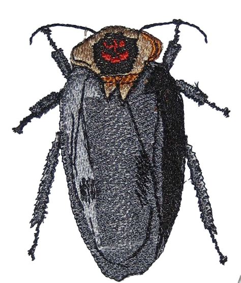 Rare Cockroach 的图像结果