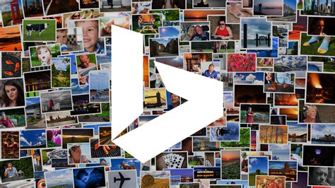 Bing Image Search 的图像结果