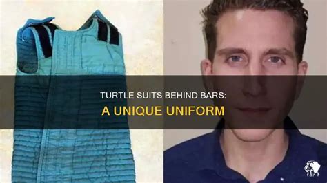 Turtle Suits Behind Bars: A Unique Uniform | PetShun