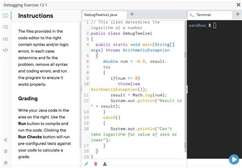 Image result for 3 8 1. Debugging Exercise