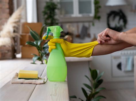 Image result for Spring Cleaning Tips