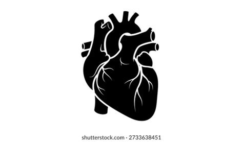 Image result for Simple HTML and CSS Format