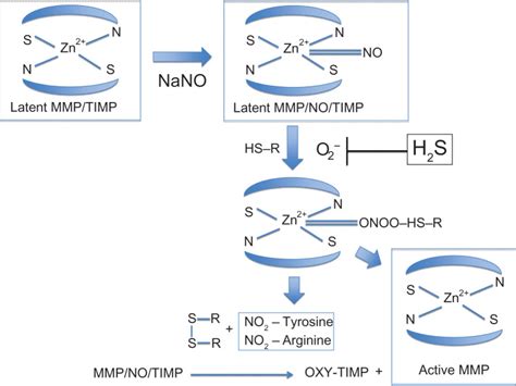 Image result for MMP Pool