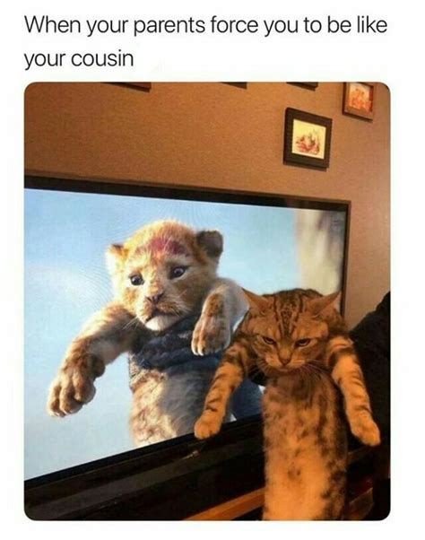 Image result for Simba Meme