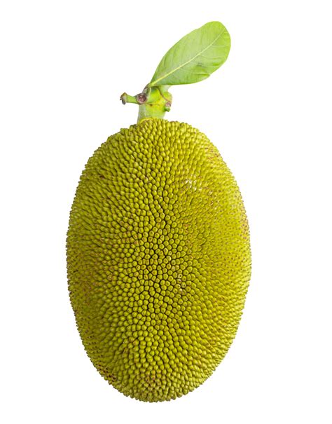 Jack Fruit Images