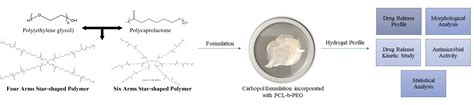 Hydrophobic Drug Carrier from Polycaprolactone-b-Poly(Ethylene Glycol ...