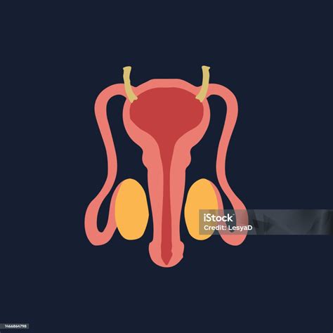 Organes Internes Humains Anatomie De Dessin Animé Partie Du Corps ...
