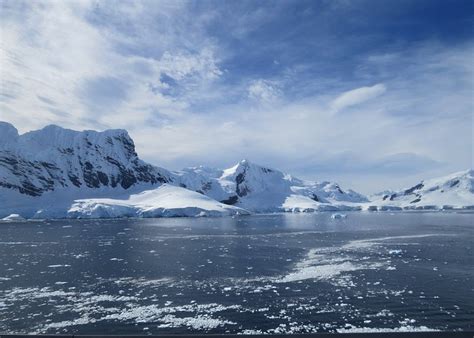 Paradise Harbour Tourism (2024): Best of Paradise Harbour, Antarctic ...
