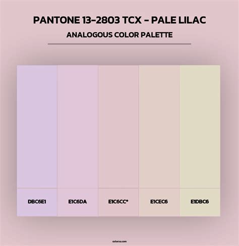 PANTONE 13-2803 TCX - Pale Lilac color palettes - colorxs.com