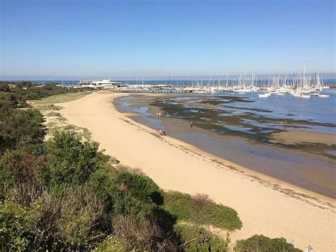 SANDRINGHAM HARBOUR BEACH (2026) All You Need to Know BEFORE You Go ...