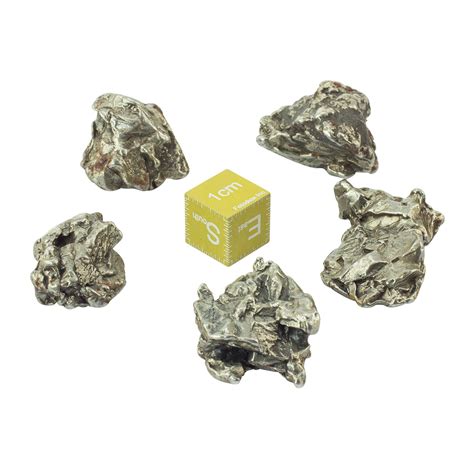 Campo Del Cielo Meteorite | First Light Optics