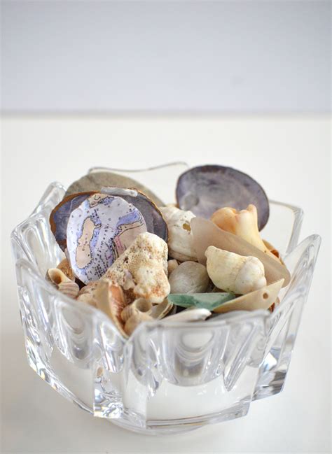 Bing Shells 的图像结果