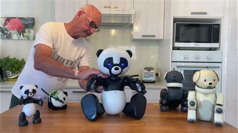 Rezultat imagine pentru Robopanda Features