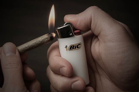 The Curse of the White Lighter: Bad Luck or Myth?