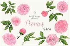 peony clipart pink peonies clip set graphics on creative market peony clipart pink peonies clip set graphics on creative market