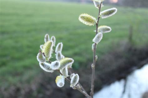 «BATHMEN» HD wallpapers