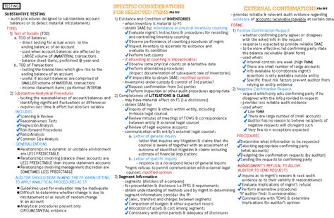 Image result for Substantive Testing Video 3 Min