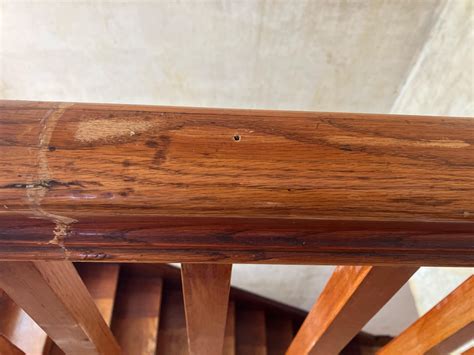 Image result for How to Repair Shellac