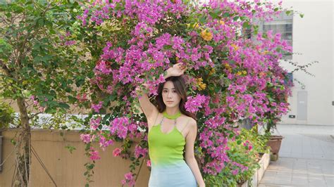 Log Luts 的图像结果