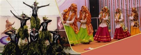 Dayanand College, Hisar