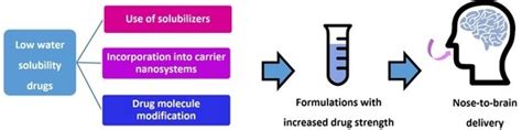 Strategies to Improve Drug Strength in Nasal Preparations for Brain ...