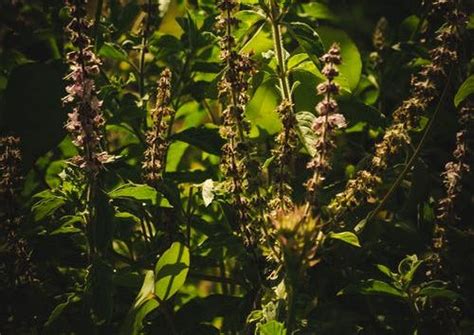 One Stop Solution for Career and Livelihod