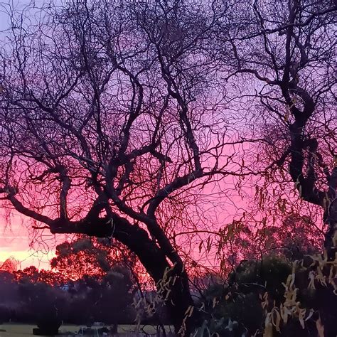 MUDGEE'S GETAWAY COTTAGES - B&B Reviews & Photos - Tripadvisor