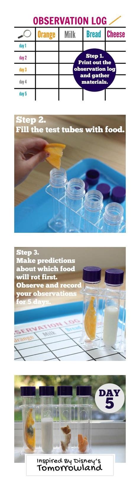 Image result for Science Project Easy Method