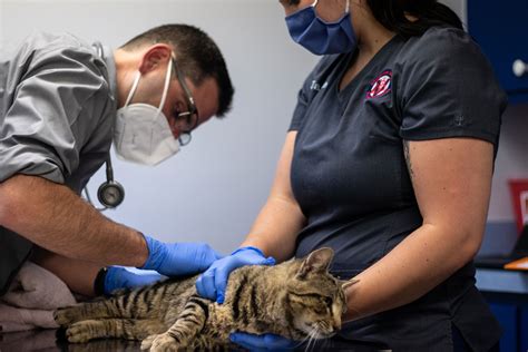 Veterinarians in Coatesville, PA - Brandywine Valley Veterinary Hospital