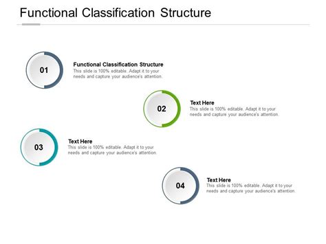 Image result for How to Classify Using a Functional Based Classification