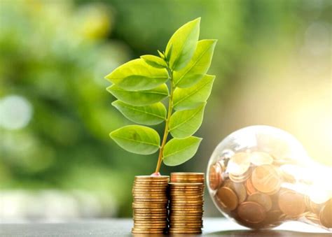 Solar Pool Heater Setup 的图像结果