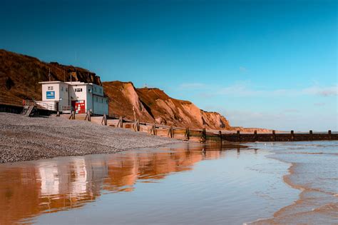 Battle Of Living With Chronic Sinusitis - Living With The Wolf