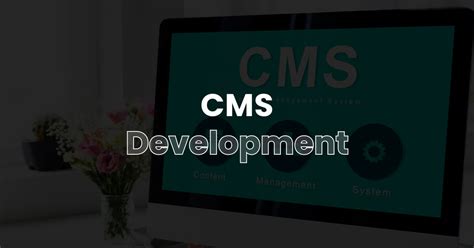 Image result for CMS Development Example