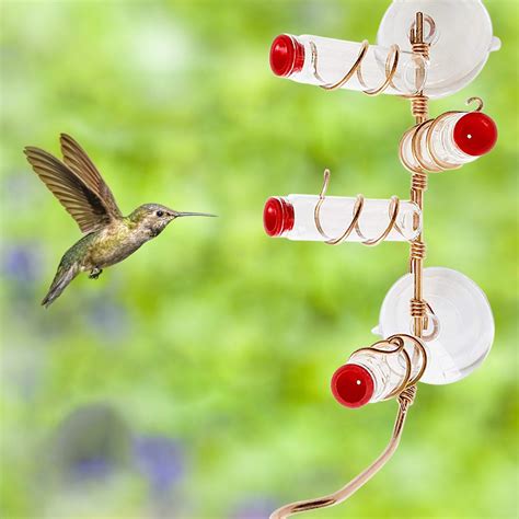 Innovative Hummingbird Feeder Suction-cup Bird Fee... – Vicedeal