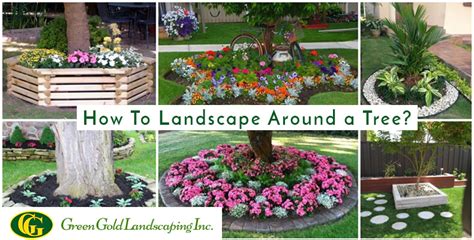 Image result for Landscaping Timber around Tree