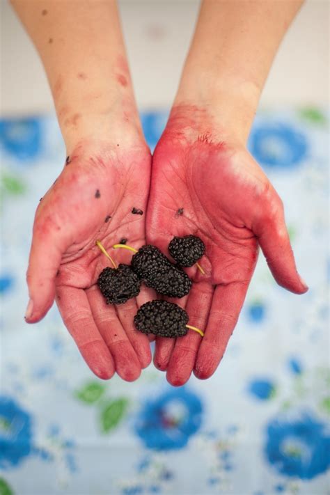 Removing Fruit and Vegetable Stains on Skin | ThriftyFun