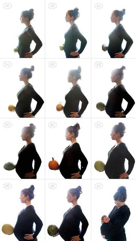 Pin on our baby boy | Baby bump pictures, Baby bump progression, 16 ...