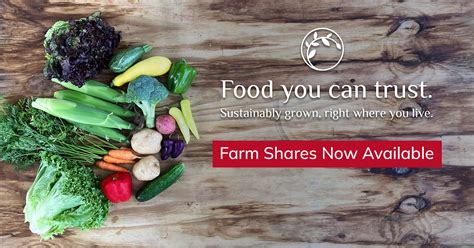 Produce 的图像结果