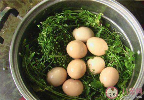 农历三月三吃地菜煮鸡蛋有什么说法寓意 三月三荠菜煮鸡蛋习俗是怎么来的 _八宝网