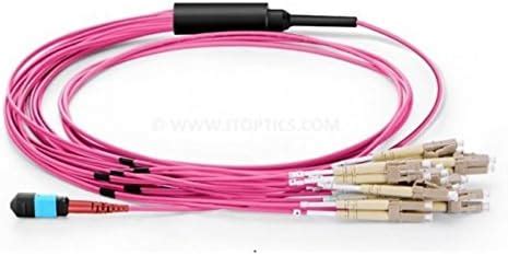 JT 24 Fiber MPO Break-Out Patch Cable with MPO (F) and 10 x LC/PC ...