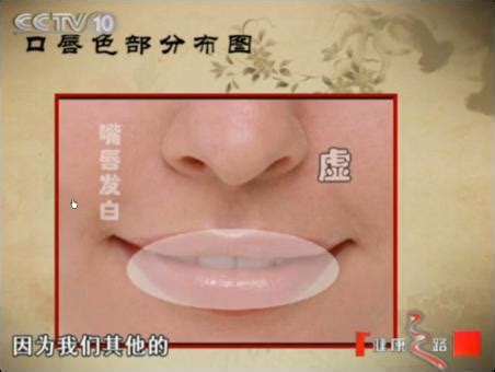 王鸿谟教授：通过鼻子看身体，懂点面诊知识很有必要_身体_鼻子_知识