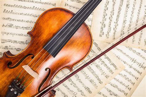 18 Fascinating Violin Facts About the King of Strings - Facts.net