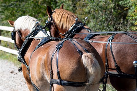 Jester Park Equestrian Center - Polk County Iowa